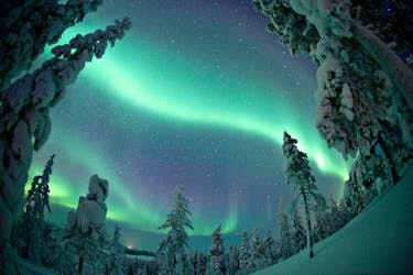 Busca de fotos para a aurora boreal
